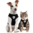 Coleira Peitoral Para Cães e Gatos